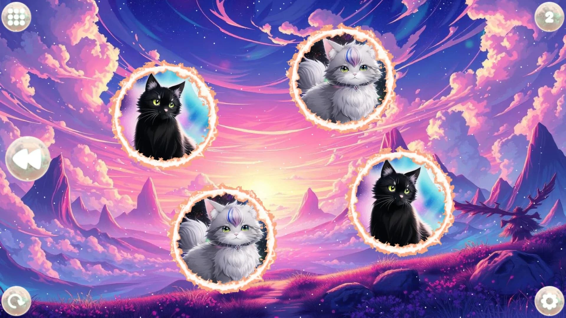 image backdrop image