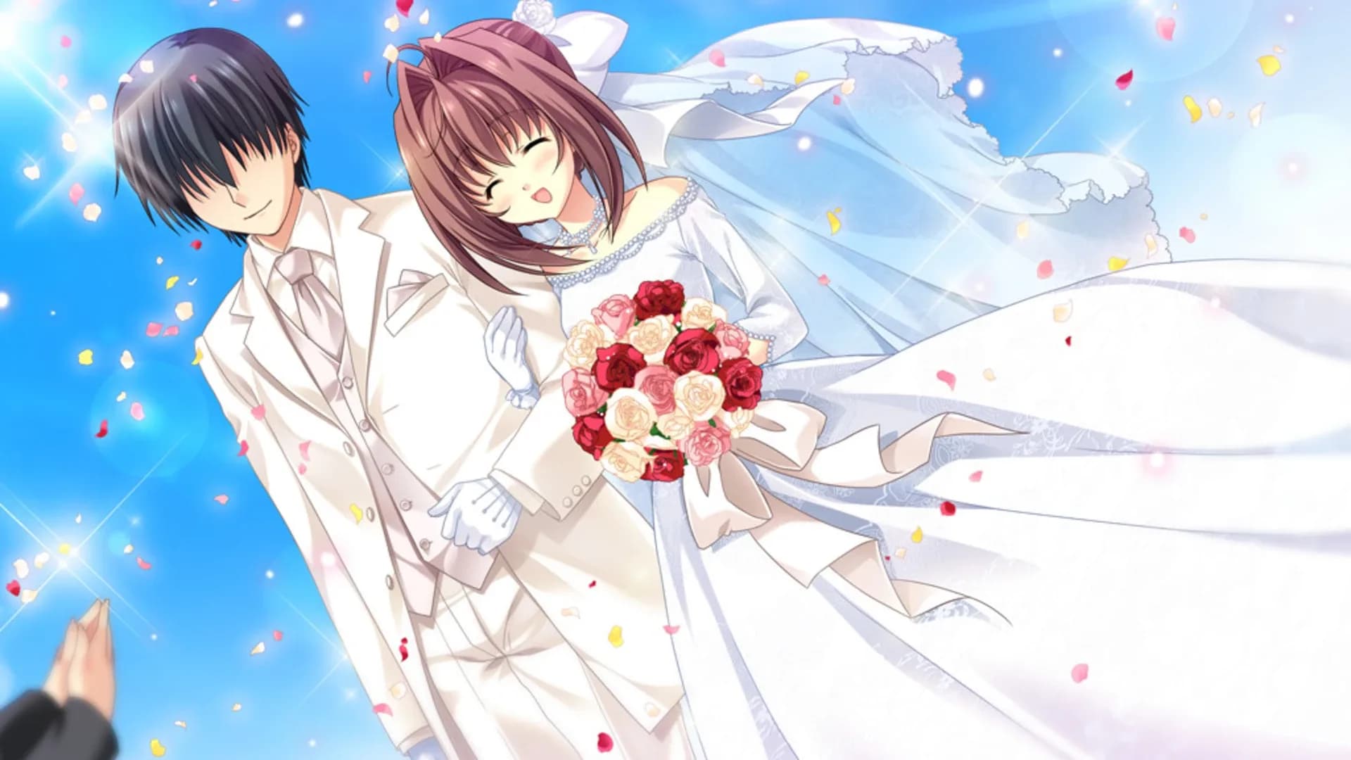 image backdrop image
