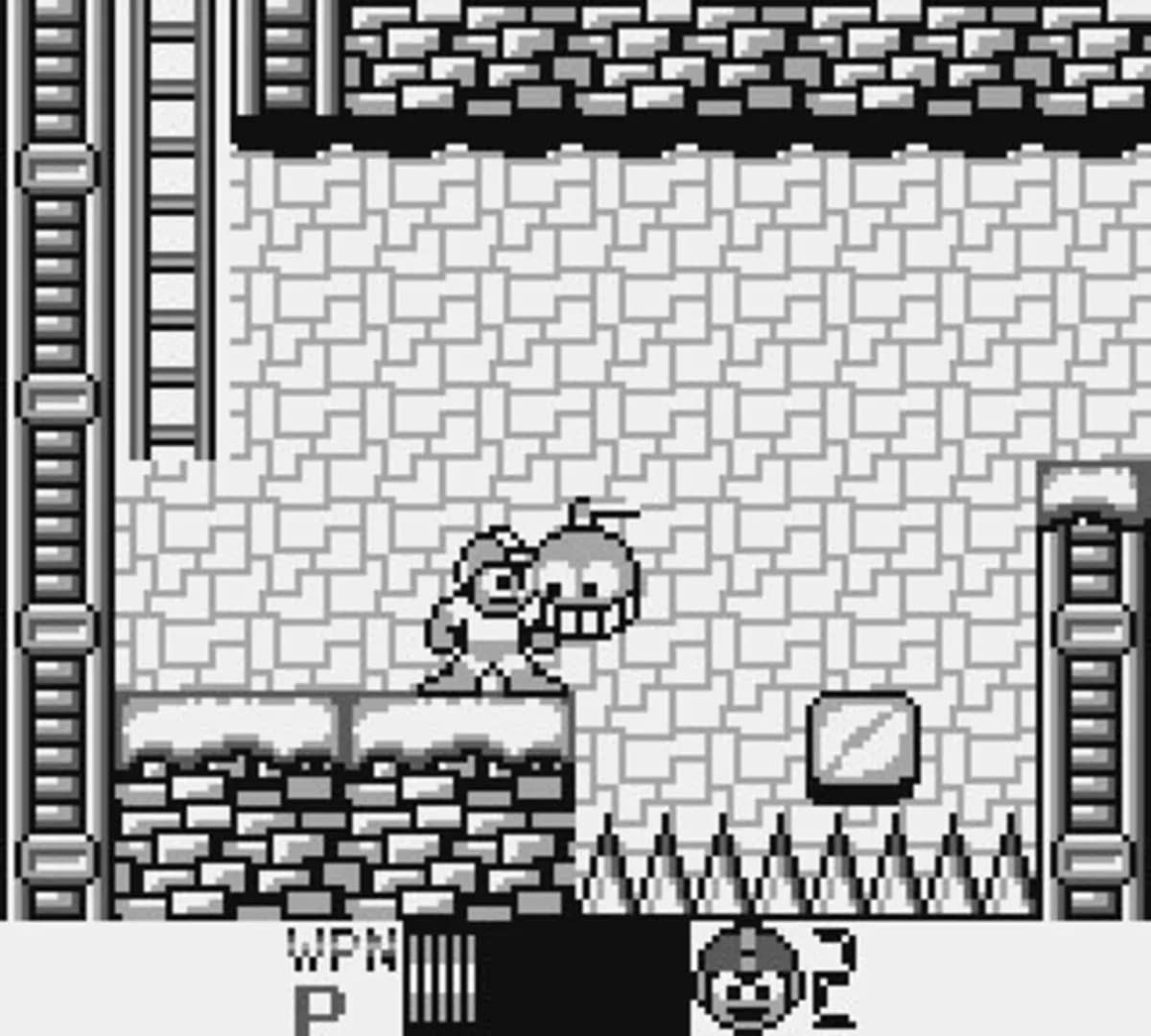 image backdrop image