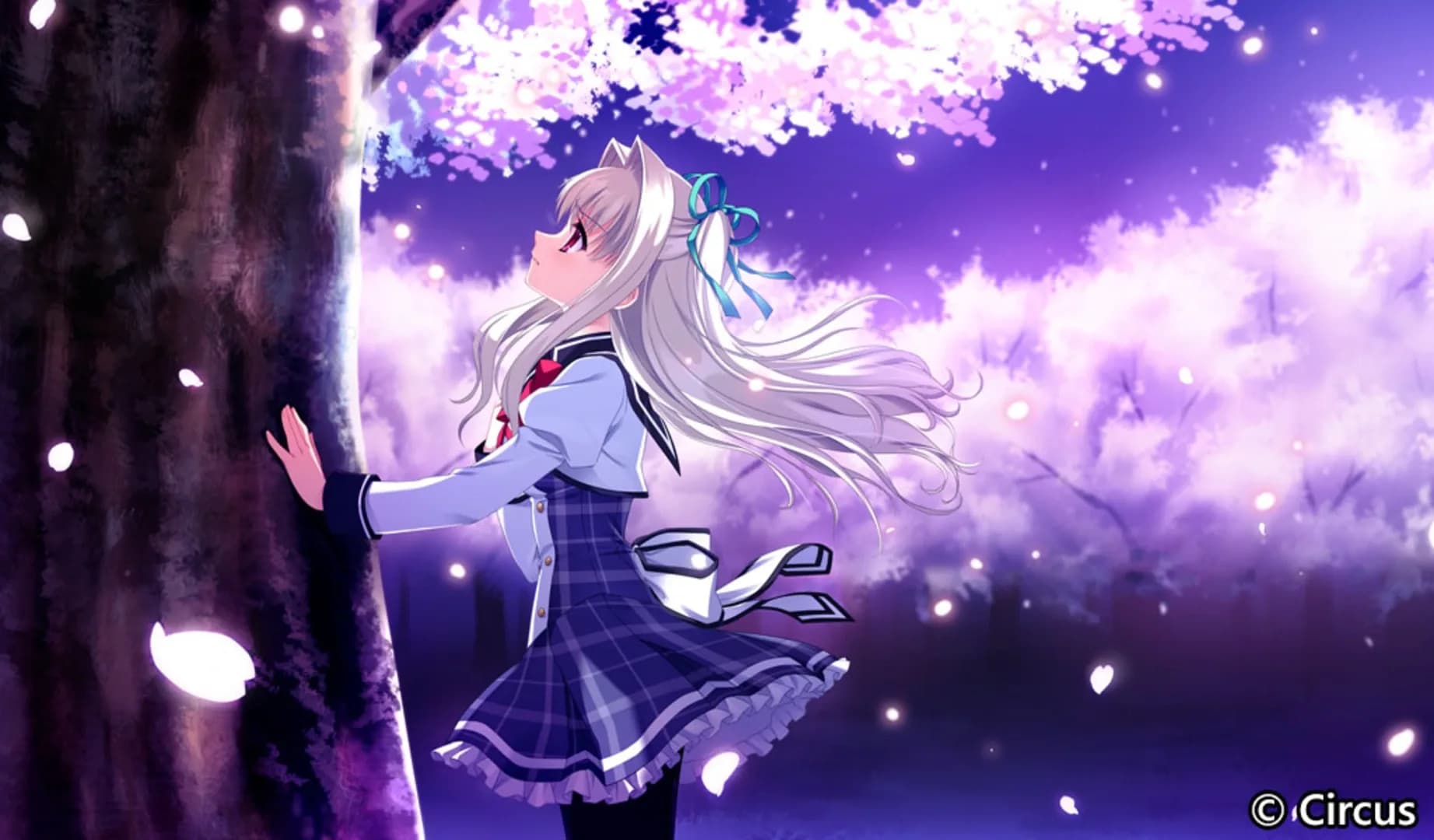 image backdrop image