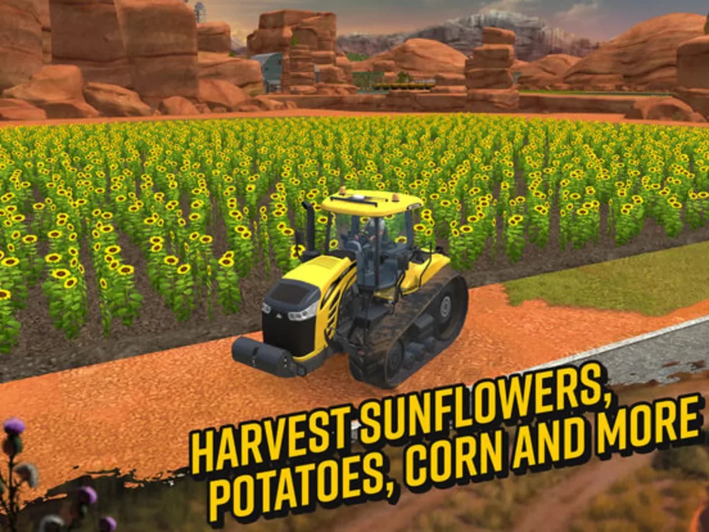 image backdrop image
