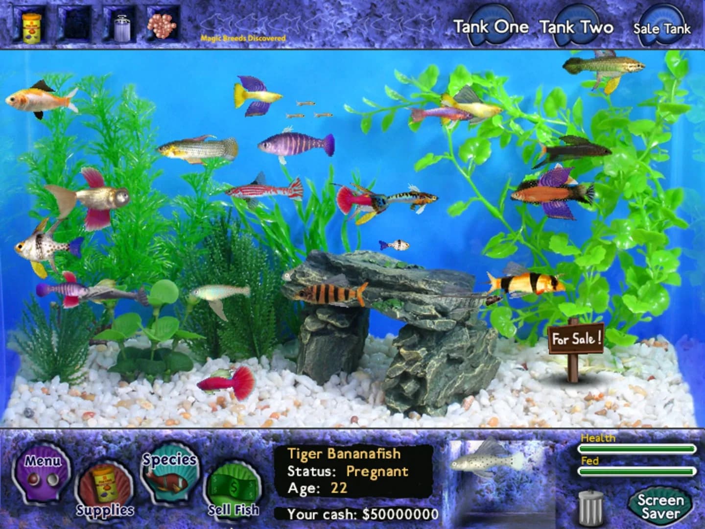 image backdrop image