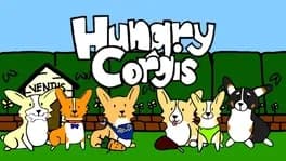 hungry-corgis