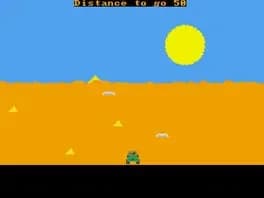 egyptian-run