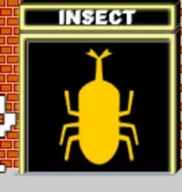 insect
