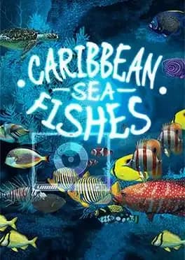 caribbean-sea-fishes