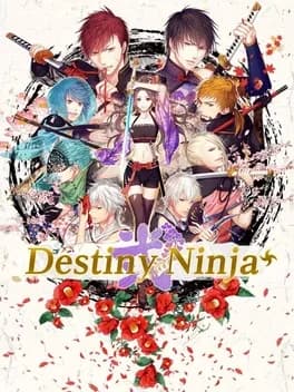 shall-we-date-destiny-ninja-2