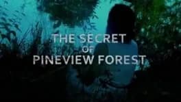 the-secret-of-pineview-forest