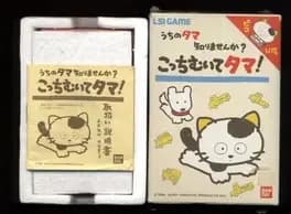 uchi-no-tama-wakarimasen-ka-kocchi-muite-tama