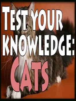 test-your-knowledge-cats
