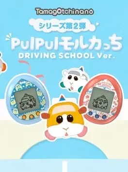 pui-pui-molcartchi-driving-school-ver