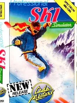 professional-ski-simulator