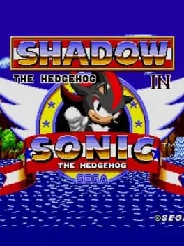 another-shadow-the-hedgehog-in-sonic-the-hedgehog