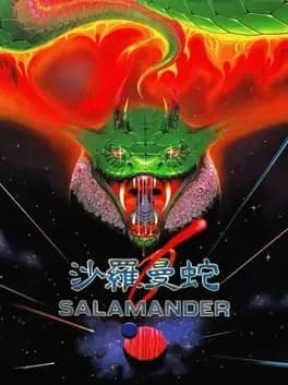 salamander--3