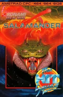 salamander--4