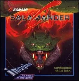 salamander--5