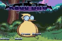 kadu-bird