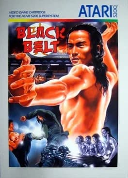 black-belt--2