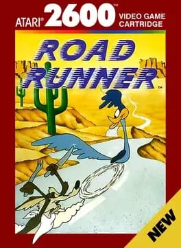 road-runner--1