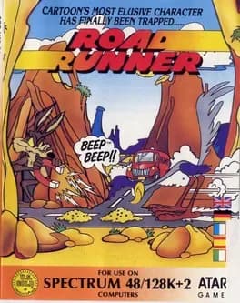 road-runner--4