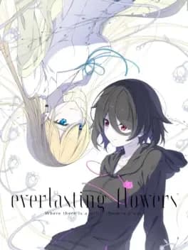everlasting-flowers