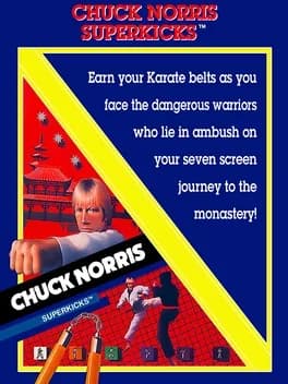 chuck-norris-superkicks