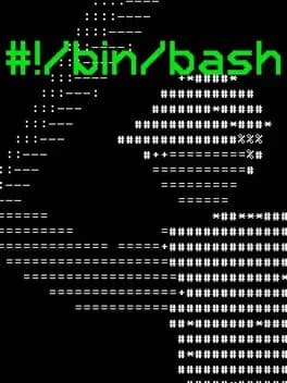 number-slash-bin-slash-bash