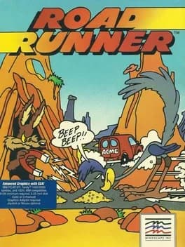 road-runner--5