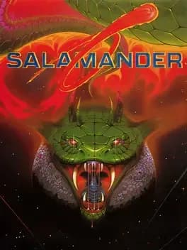 salamander--6