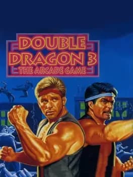 double-dragon-3-the-arcade-game