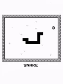 snake--5