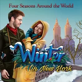 four-seasons-around-the-world-winter-in-new-york