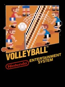 volleyball