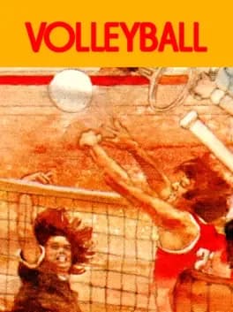 volleyball--1