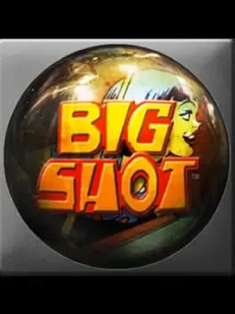 pinball-arcade-big-shot