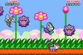 flower-power--1