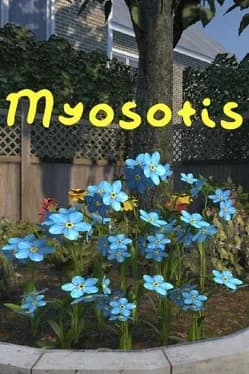 myosotis--1