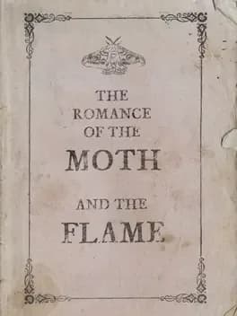 the-romance-of-the-moth-and-the-flame