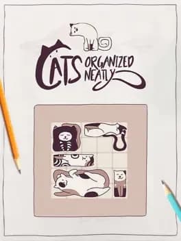 cats-organized-neatly