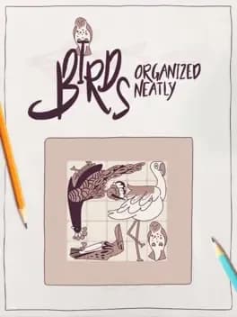 birds-organized-neatly