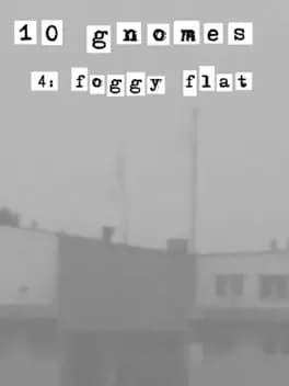 10-gnomes-4-foggy-flat