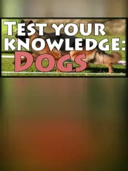 test-your-knowledge-dogs