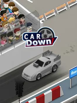 car-down
