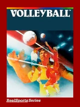 realsports-volleyball