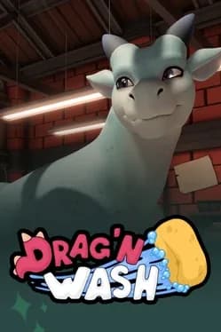 dragn-wash