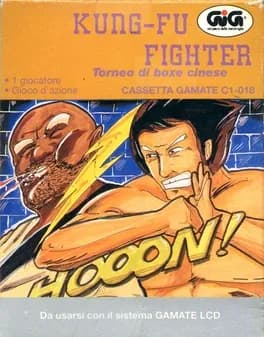 kung-fu-fighter