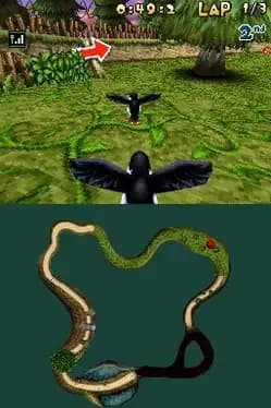 puffins-lets-race
