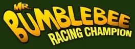 mister-bumblebee-racing-champion