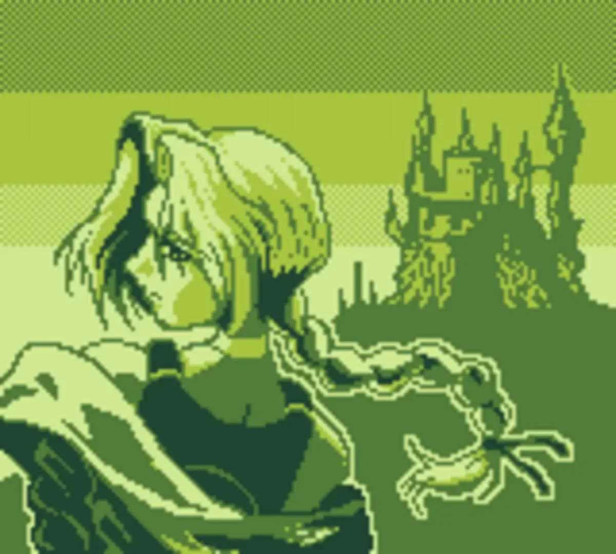 image backdrop image