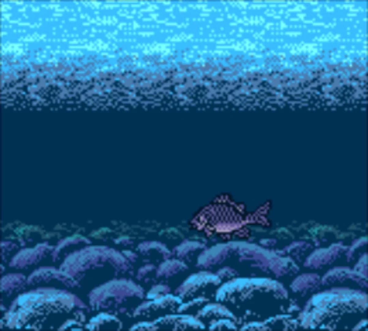 image backdrop image